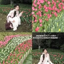 杭州旅游 缩略图 6