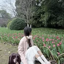 杭州旅游 缩略图 14