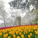 杭州旅游 缩略图 4