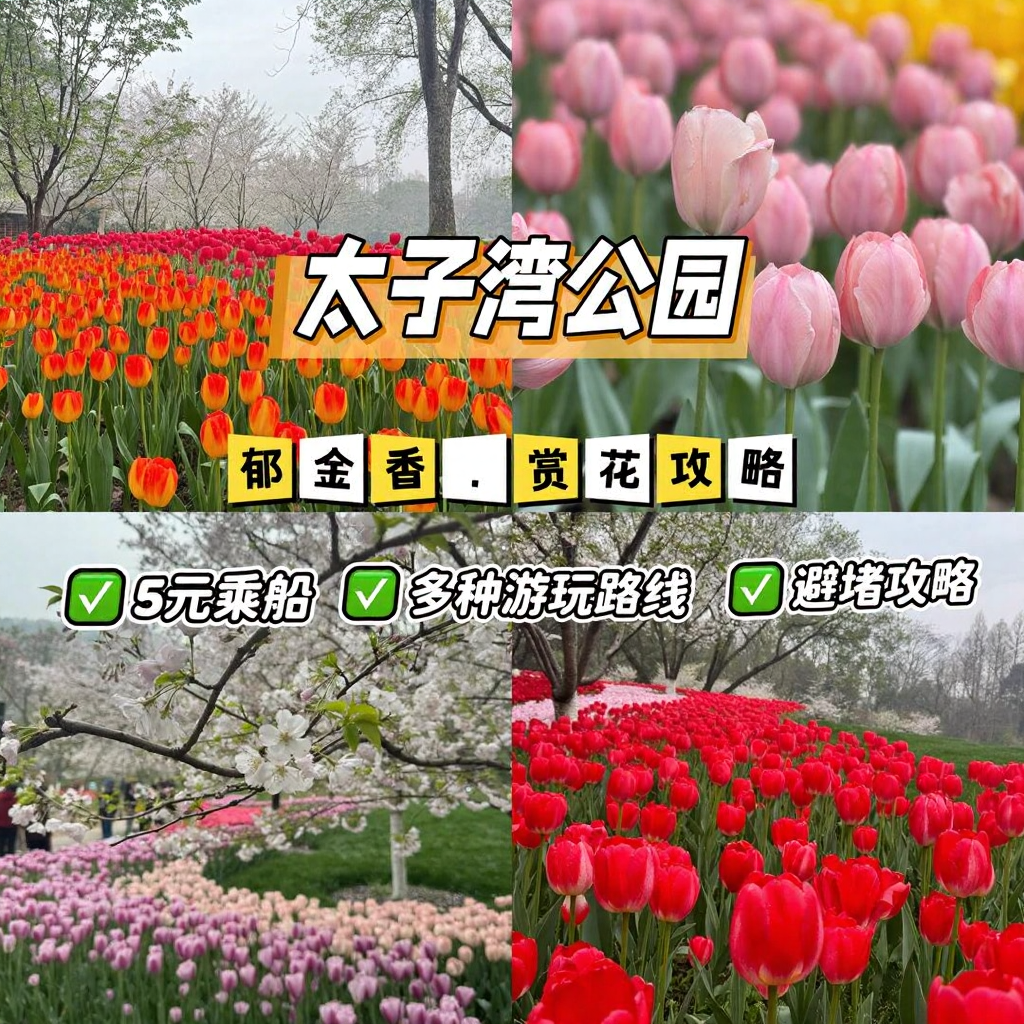 杭州旅游