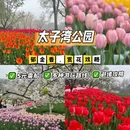 杭州旅游 缩略图 1