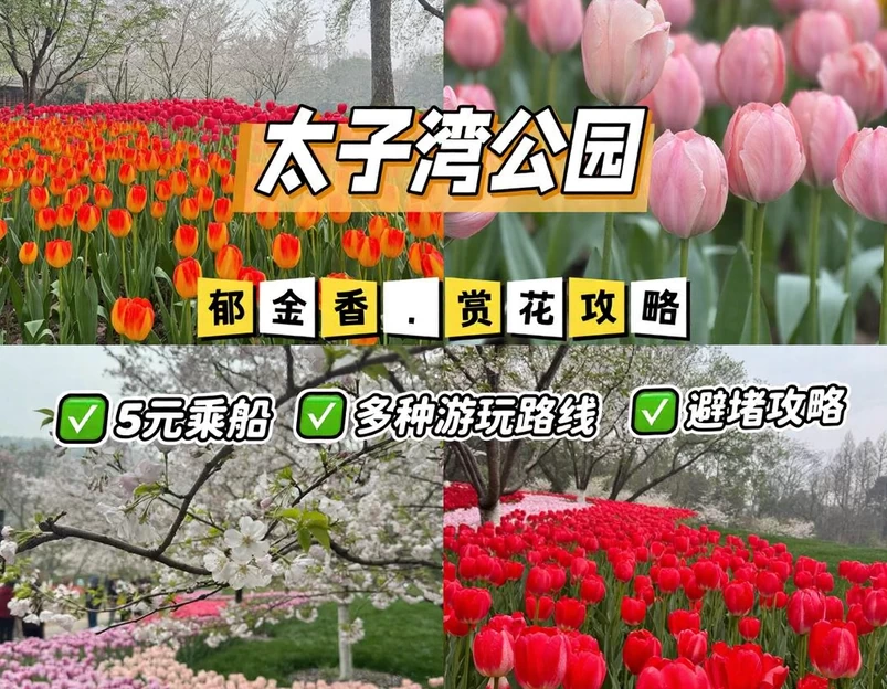杭州旅游 1