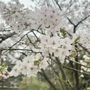 杭州旅游 缩略图 8
