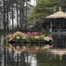 杭州旅游 缩略图 14