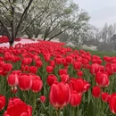 杭州旅游 缩略图 9