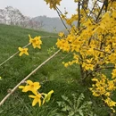 杭州旅游 缩略图 12