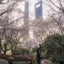 上海旅游 缩略图 4