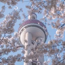 上海旅游 缩略图 3