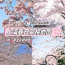 上海旅游 缩略图 1