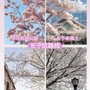 上海旅游 缩略图 5
