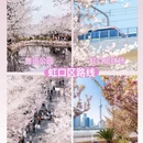 上海旅游 缩略图 6
