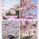 上海旅游 缩略图 3