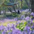 上海旅游 缩略图 6