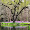 上海旅游 缩略图 5