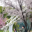上海旅游 缩略图 13
