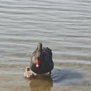 上海旅游 缩略图 7