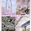 上海旅游 缩略图 4