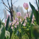 上海旅游 缩略图 8
