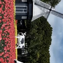 上海旅游 缩略图 6