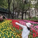 上海旅游 缩略图 7