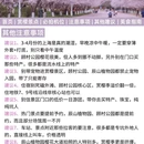 上海旅游 缩略图 7