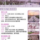 上海旅游 缩略图 2