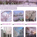 上海旅游 缩略图 4