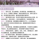 上海旅游 缩略图 5
