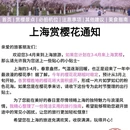 上海旅游 缩略图 1