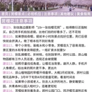 上海旅游 缩略图 6