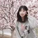 上海旅游 缩略图 1