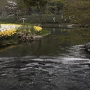 杭州旅游 缩略图 9