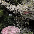 杭州旅游 缩略图 6