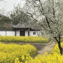 上海旅游 缩略图 5