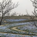 上海旅游 缩略图 12