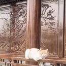 上海旅游 缩略图 9