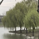 上海旅游 缩略图 17