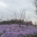 上海旅游 缩略图 14