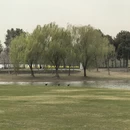 上海旅游 缩略图 15