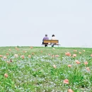 上海旅游 缩略图 1