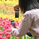 杭州旅游 缩略图 6