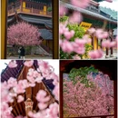 杭州旅游 缩略图 3