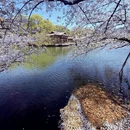 杭州旅游 缩略图 3