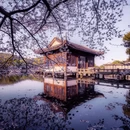 杭州旅游 缩略图 5
