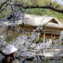 杭州旅游 缩略图 1