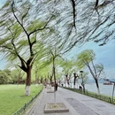 杭州旅游 缩略图 9