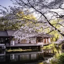 杭州旅游 缩略图 6