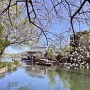 杭州旅游 缩略图 2
