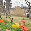 上海旅游 缩略图 6