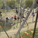 上海旅游 缩略图 8